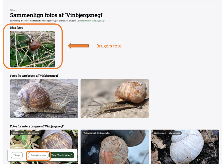 Skærmbillede 2026 03 03 125445