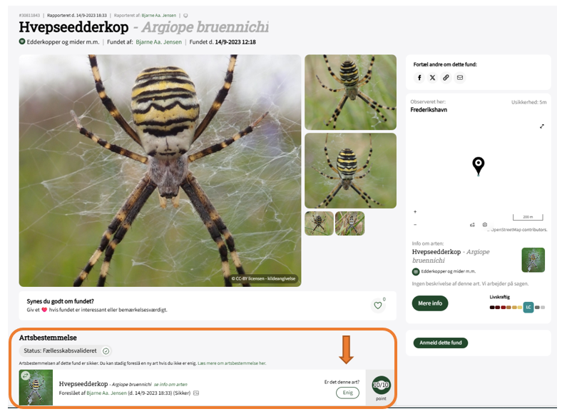 Skærmbillede 2026 02 27 142128