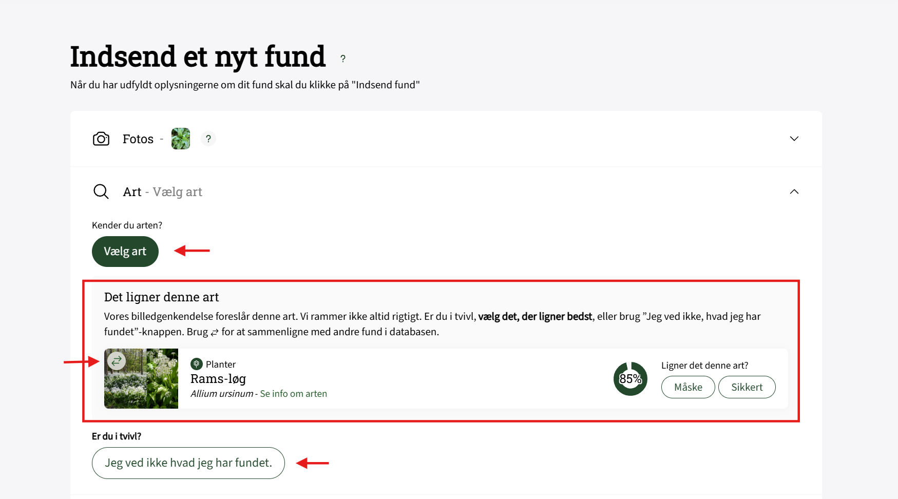 Billedgenkendelse