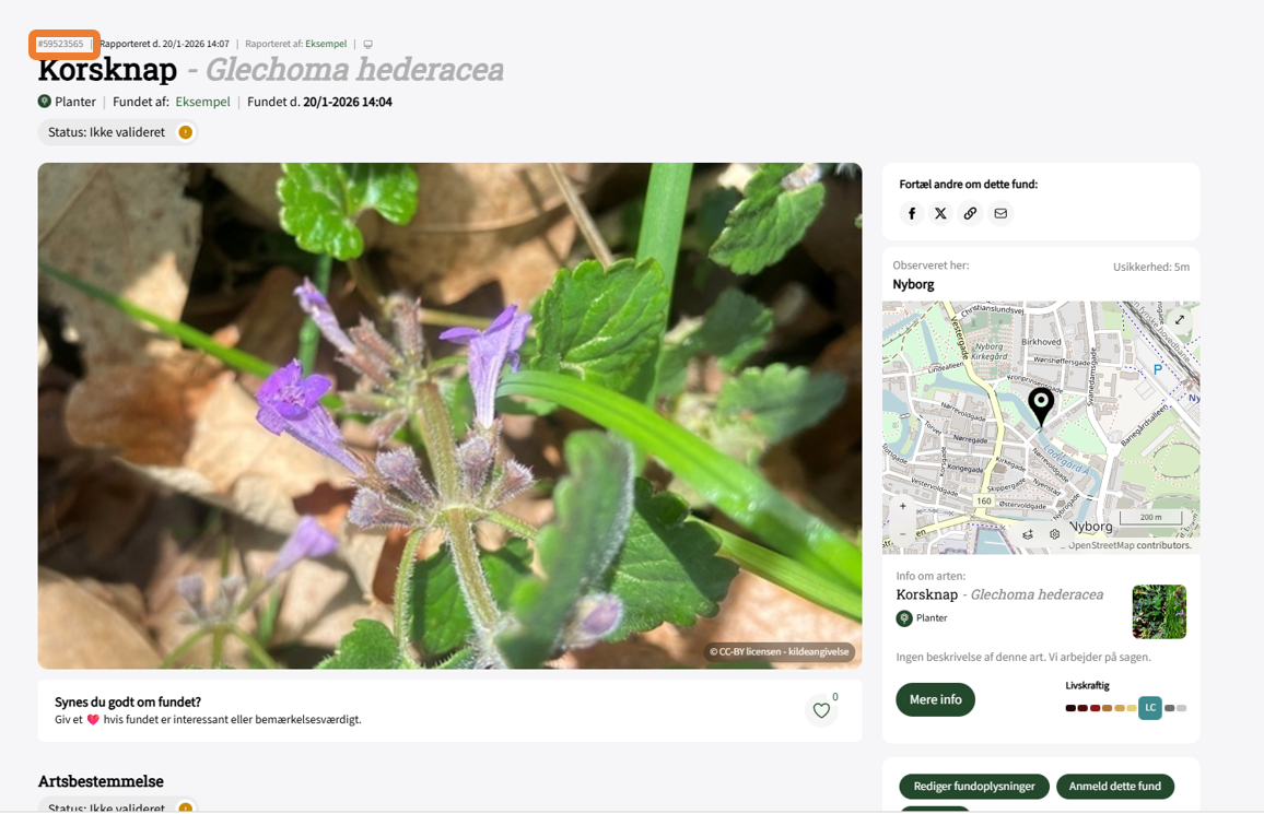 Skærmbillede 2026 01 20 142121