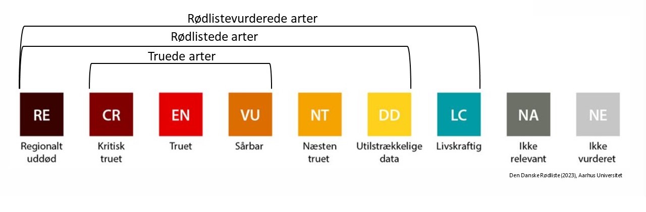Arter - Blog