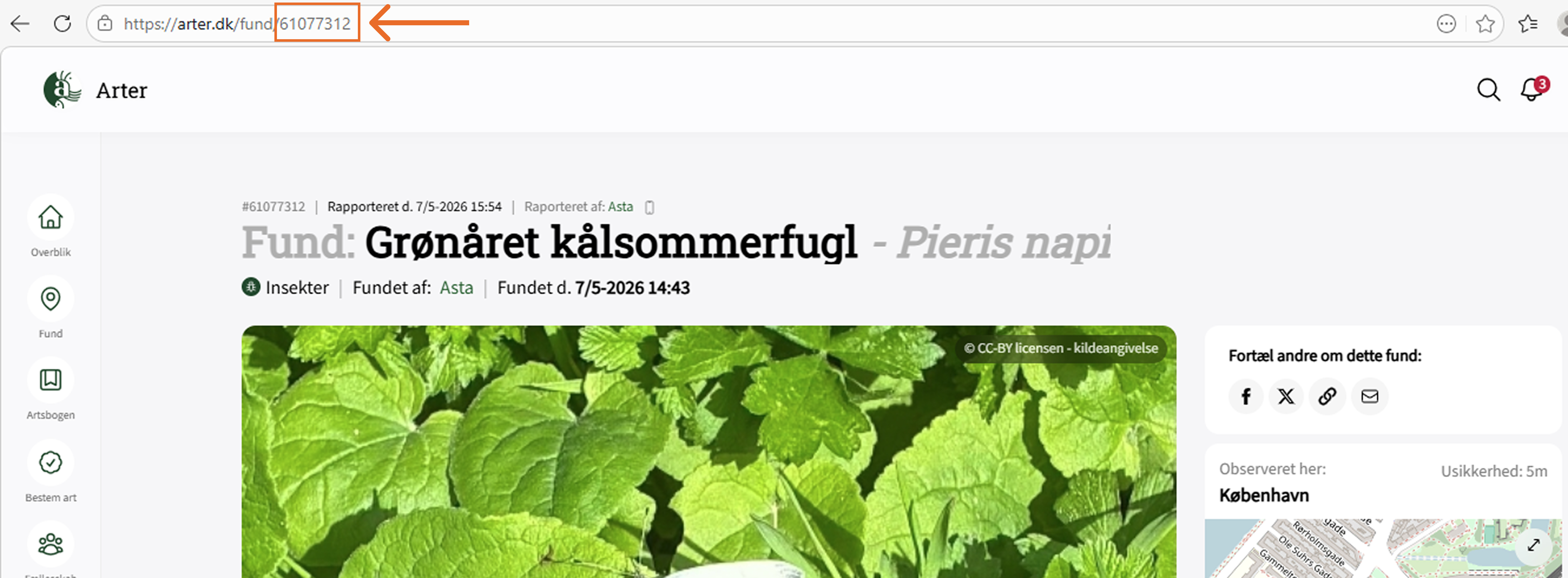 5URL