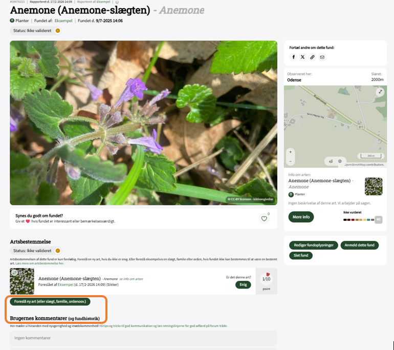 Skærmbillede 2026 02 17 143341