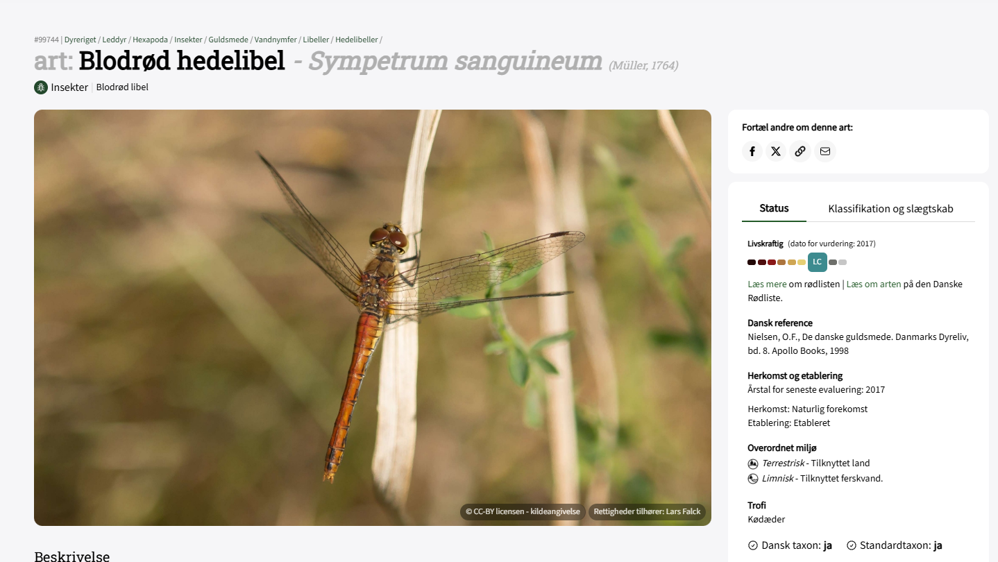 Skærmbillede 2026 02 23 110610