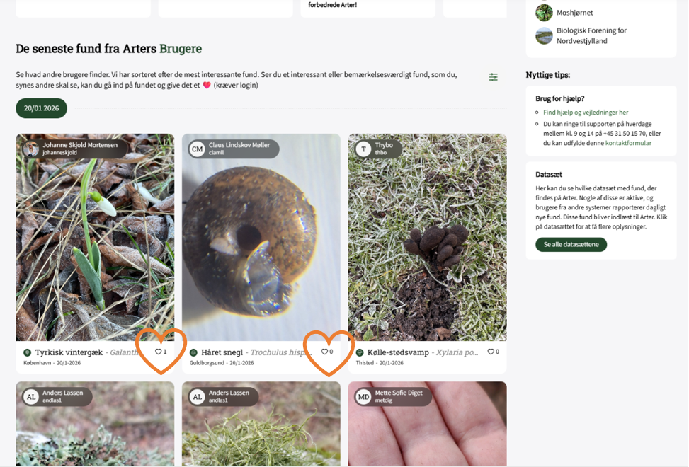 Skærmbillede 2026 01 20 142519