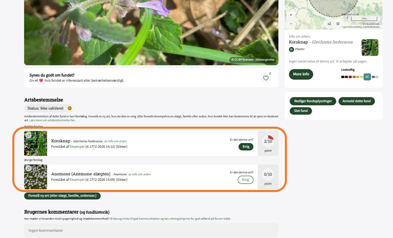 Skærmbillede 2026 02 17 143541