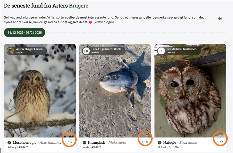 Skærmbillede 2026 01 07 124031