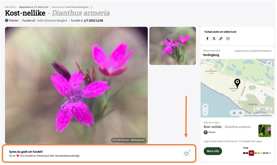 Skærmbillede 2026 01 07 124014