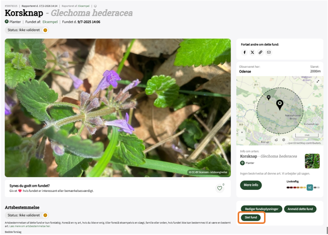 Skærmbillede 2026 02 17 154517