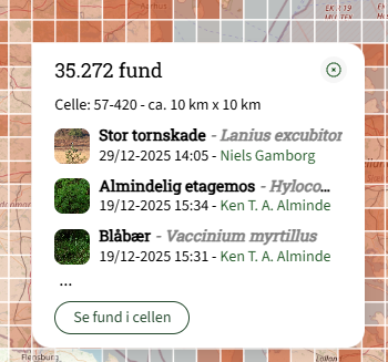 Skærmbillede 2026 01 07 131952