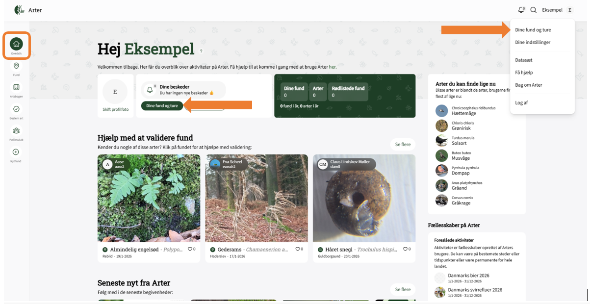 Skærmbillede 2026 01 20 141935